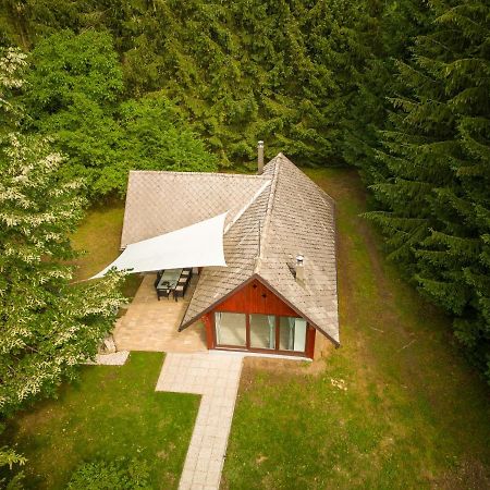 Вілла Cebelnk: Sanjska Hisica 4 Km Od Bleda Лесце Екстер'єр фото
